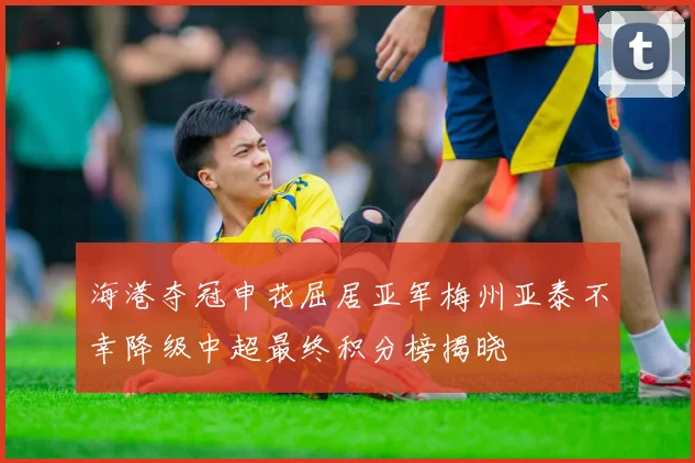 海港夺冠申花屈居亚军梅州亚泰不幸降级中超最终积分榜揭晓
