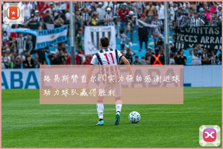 路易斯赞首尔FC实力强劲感谢进球助力球队赢得胜利
