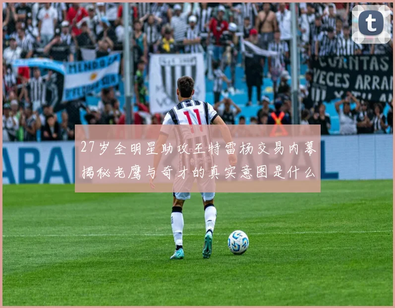 27岁全明星助攻王特雷杨交易内幕揭秘老鹰与奇才的真实意图是什么